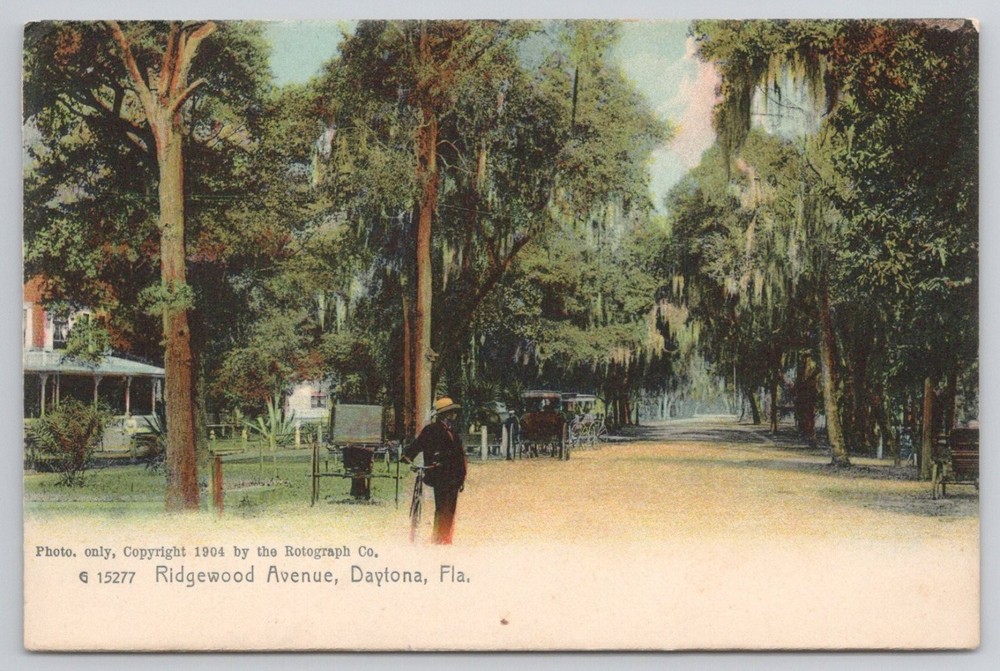 Daytona FL Ridgewood Avenue 1904 Rotograph Postcard Spanish Moss Bicycle