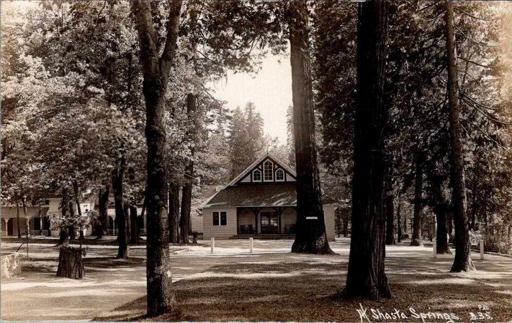 Town View, SHASTA SPRINGS, California Real Photo Postcard