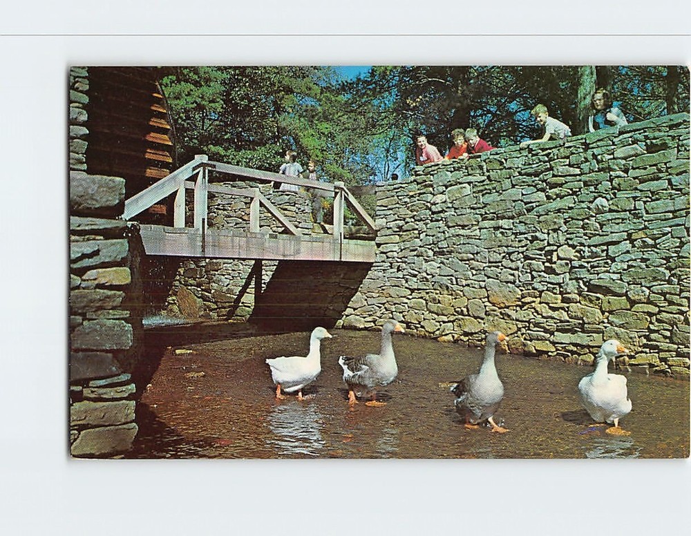 Postcard Village Geese at the Gristmill Old Sturbridge Village Massachusetts USA