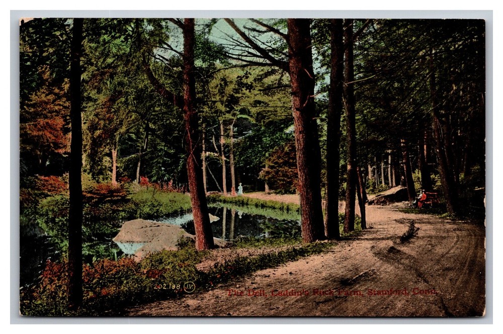 Stamford CT Connecticut The Dell Laddins's Rock Farm Divided Back Postcard