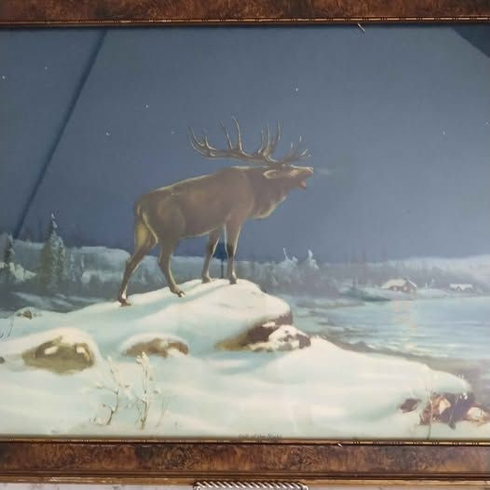 Vintage Call of the Night Elk Framed Theo Boehling Art Print Lithograph 1927