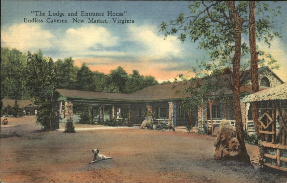 New Market Virginia Endless Caverns Lodge entrance dog vintage linen postcard
