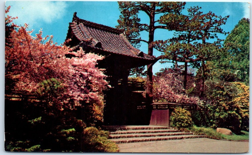 Postcard - Oriental Tea Garden - Golden Gate Park - San Francisco, California