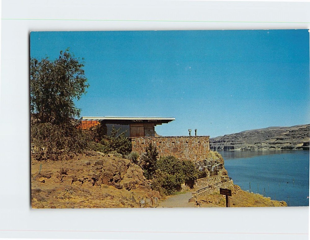 Postcard Ginkgo Petrified Forest Museum Building Washington USA