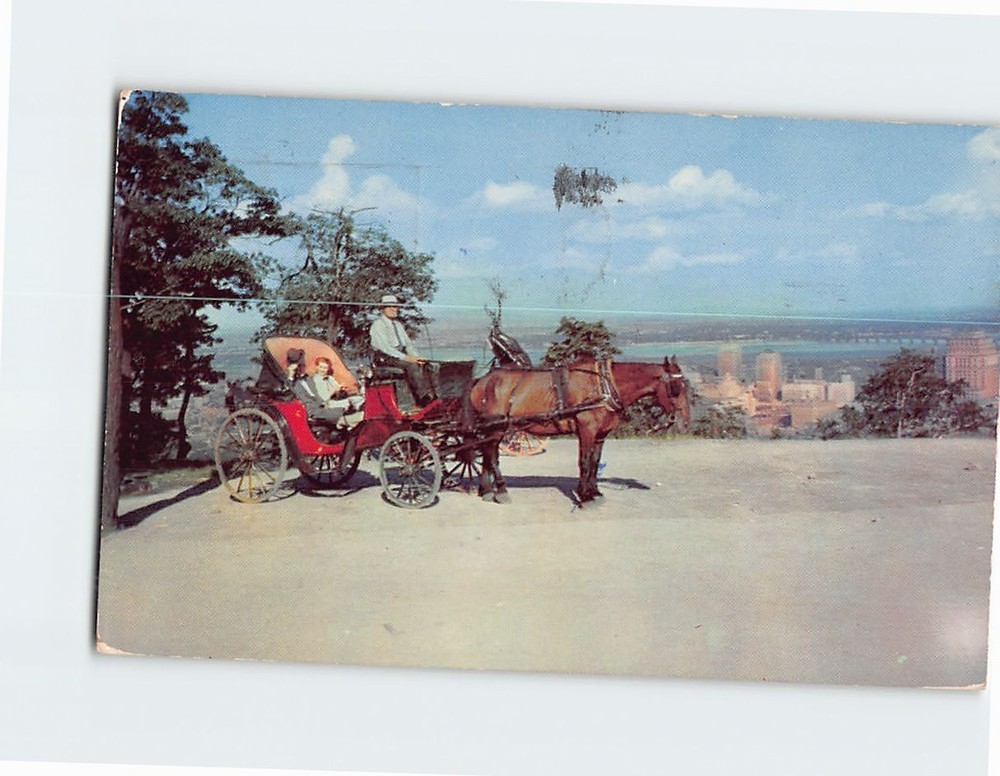 Postcard An Old French Horsedrawn Carriage on Mount Royal Montreal Canada
