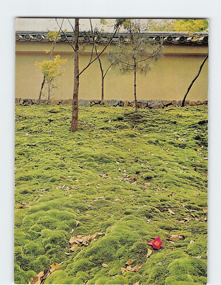 Postcard Moss Garden of Saiho-ji Temple Kyoto Japan