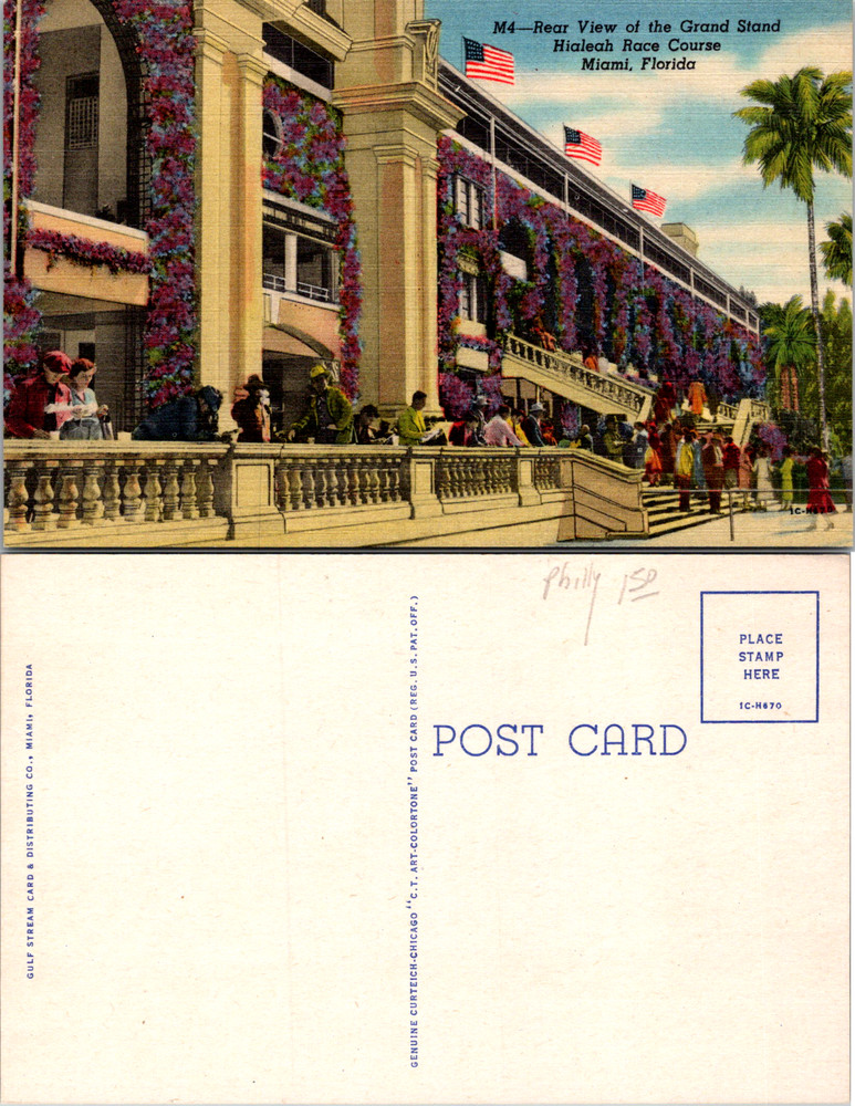 Grand Stand Hialeah Race Course Miami Florida Colortone Unposted Postcard