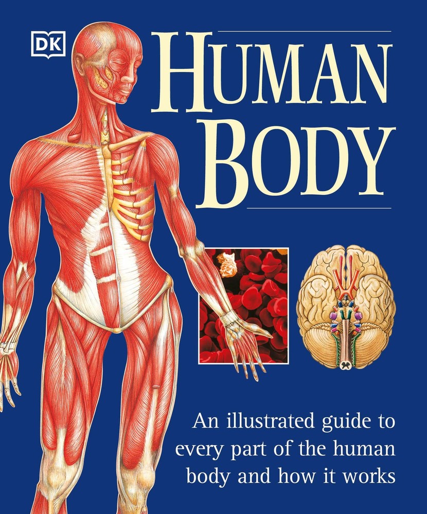 Human Body: An Illustrated Guide to Every Part of the Body and How Navy