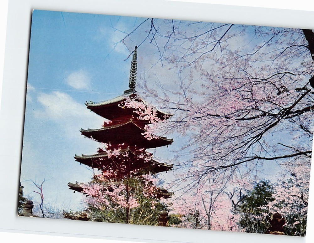 Postcard Five-storied Pagoda at Ueno Park Tokyo Japan