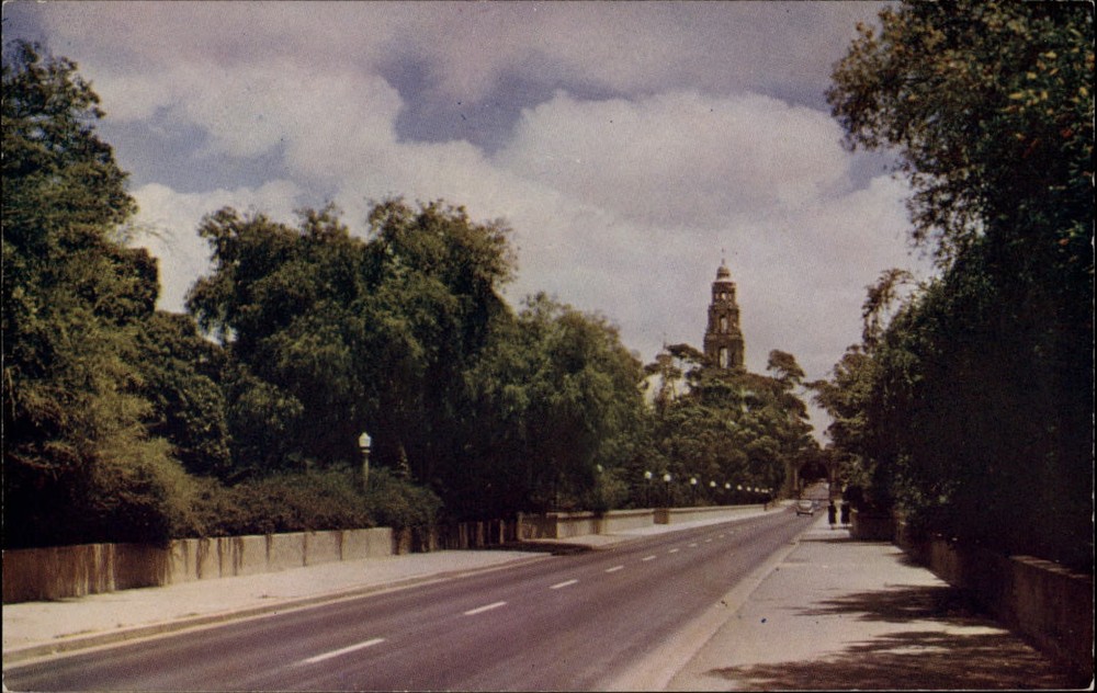 San Diego California Balboa Park ~ Mike Roberts ~ 1950s unused postcard sku079