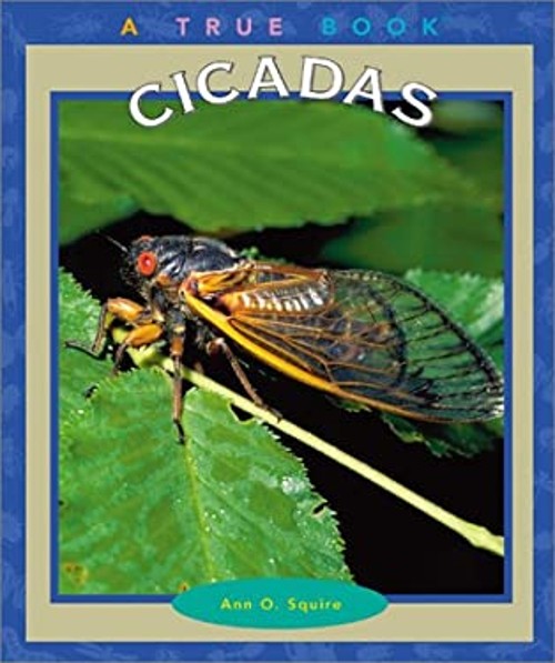 Cicadas Hardcover Ann O. SquireFree US Delivery | ISBN:0516227823