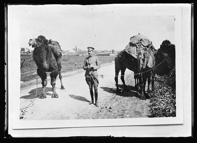 Monastir Serbia 1910s American Red Cross Camel Train Col. Thomas W. Farnum