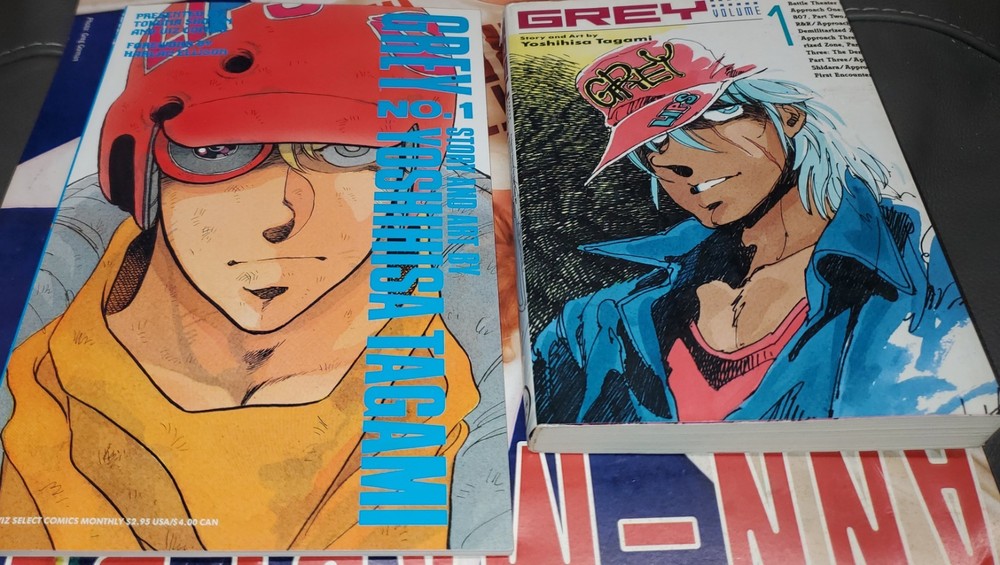 Grey Yoshihisa Tagami Graphic Novels Vol 1 Viz Manga & Story & Art Vol English