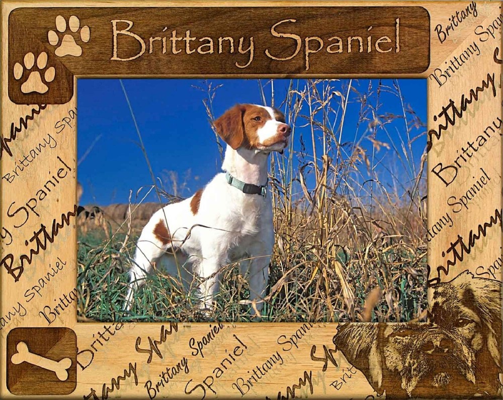 Brittany Spaniel Laser Engraved Wood Picture Frame (4 x 6)