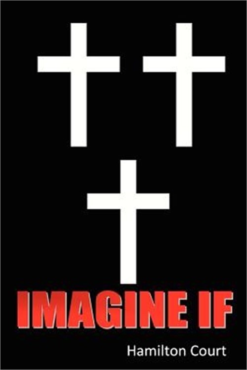 Imagine If (Paperback or Softback)