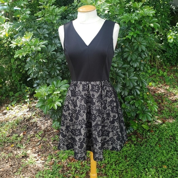 Francesca's Blue Rain NEW Size M Black Floral Fit & Flare Sleeveless Dress Party