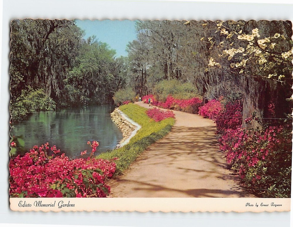 Postcard Edisto Memorial Gardens Orangeburg South Carolina USA
