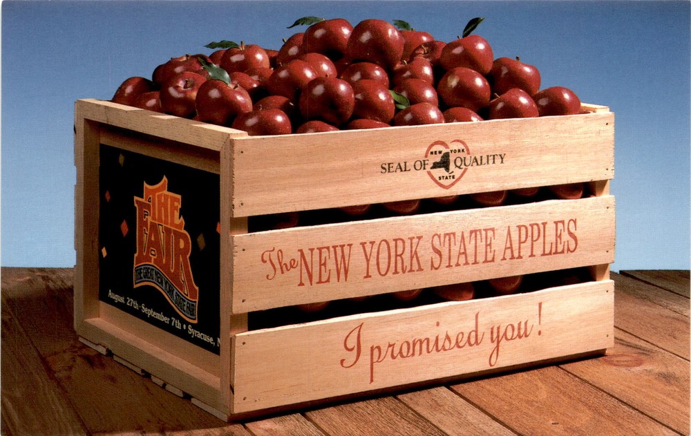 Syracuse, New York, Great New York State Fair, Empire State Postcard