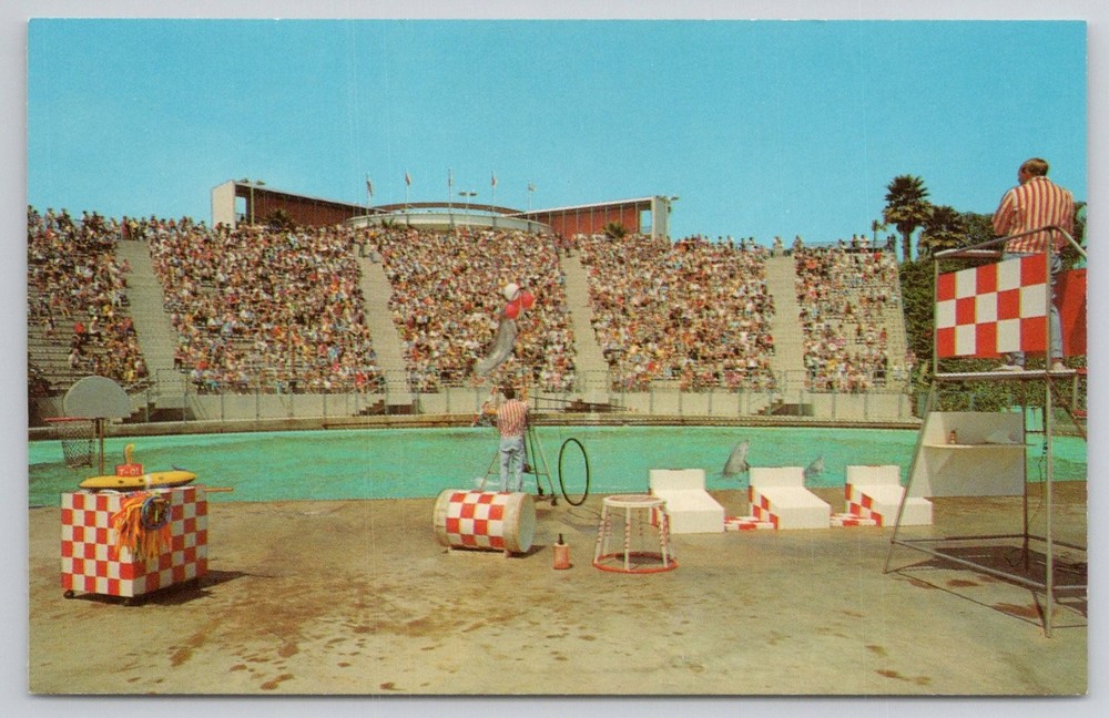 Marineland of the Pacific Sea Arena Dolphin Show Postcard Scentikrome