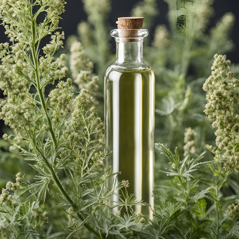 Absinthe Extract-image