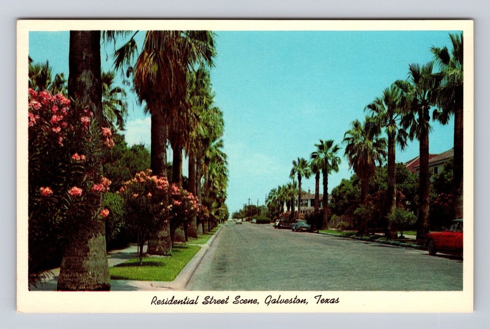 Galveston TX-Texas, Residential Street Scene, Antique, Vintagecard
