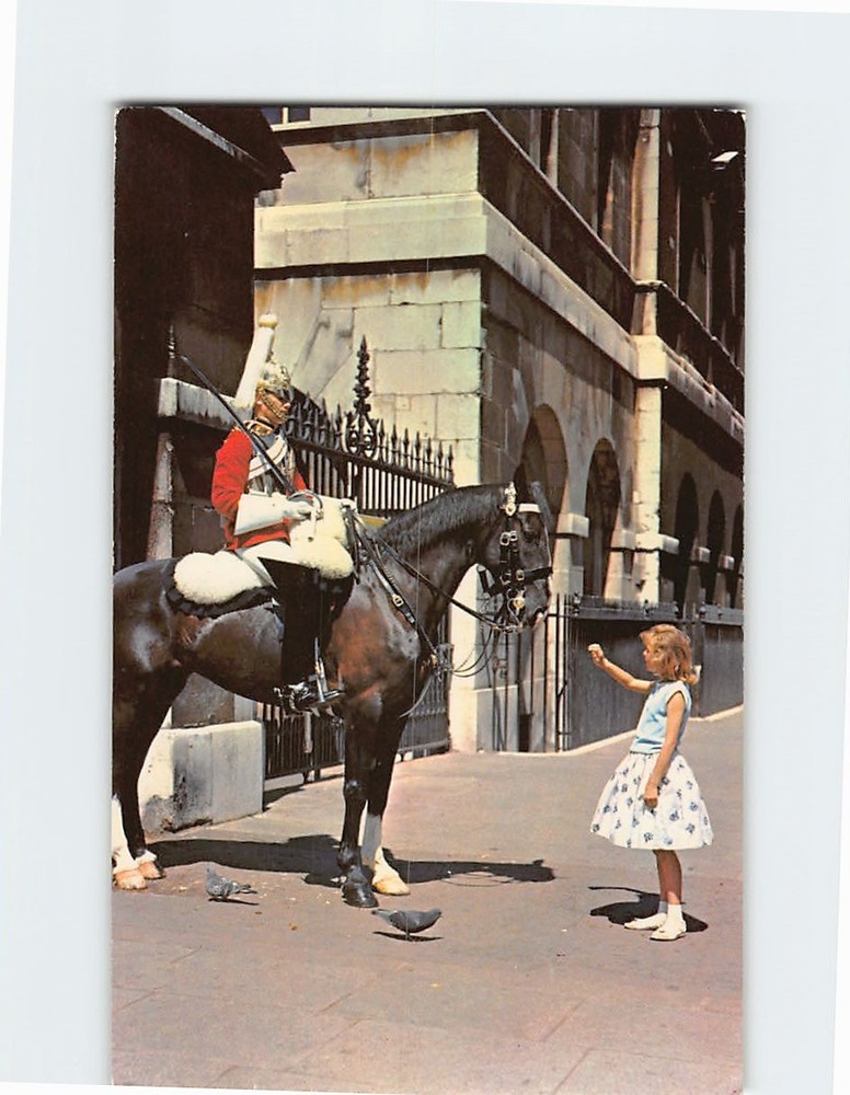 Postcard Mounted Sentry Horse Guards London England