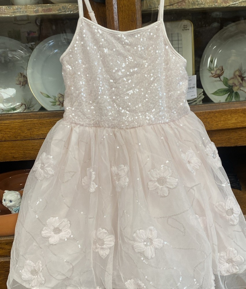 Zenzi Girls Lined Mesh Pink Floral Asymmetrical Dress Size Small (6-7)