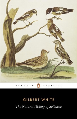 Gilbert White The Natural History of Selborne (Paperback)Another great item from Rarewaves USA | Free delivery!