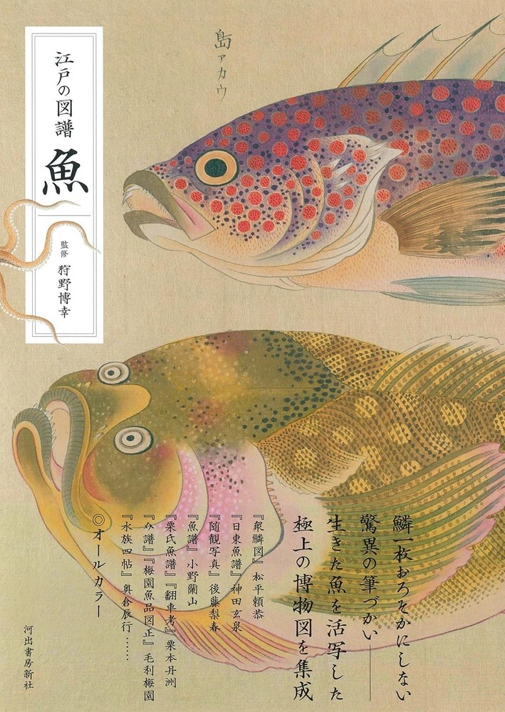 Fish Illustrated Book of Edo Period / Japan 2024 All Color NEW