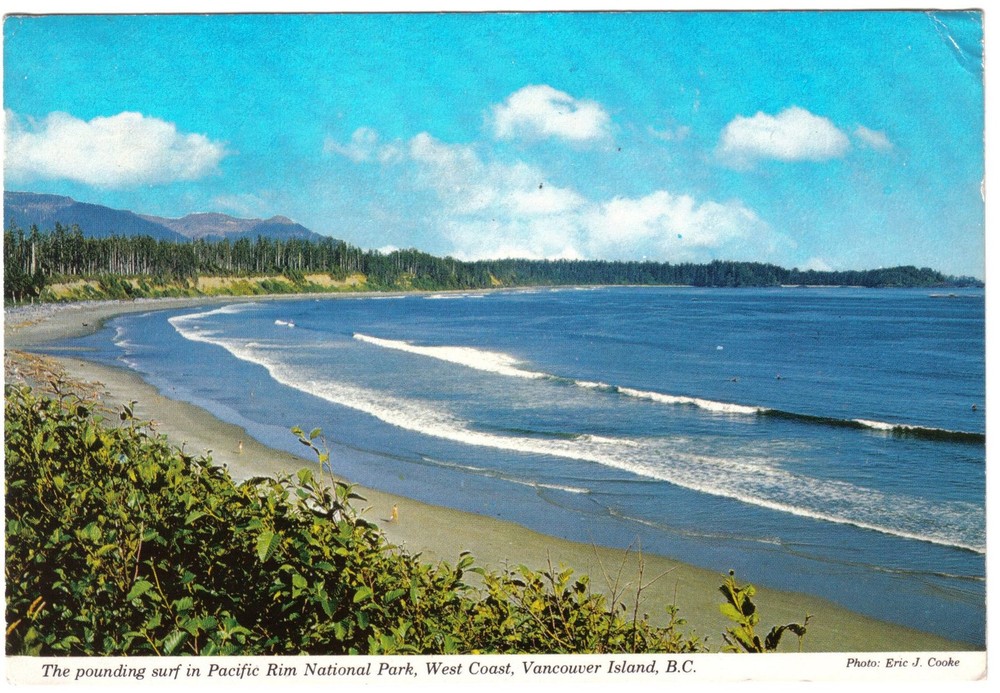 British Columbia Postcard Vancouver Island Pacific Rim National Park West Coast