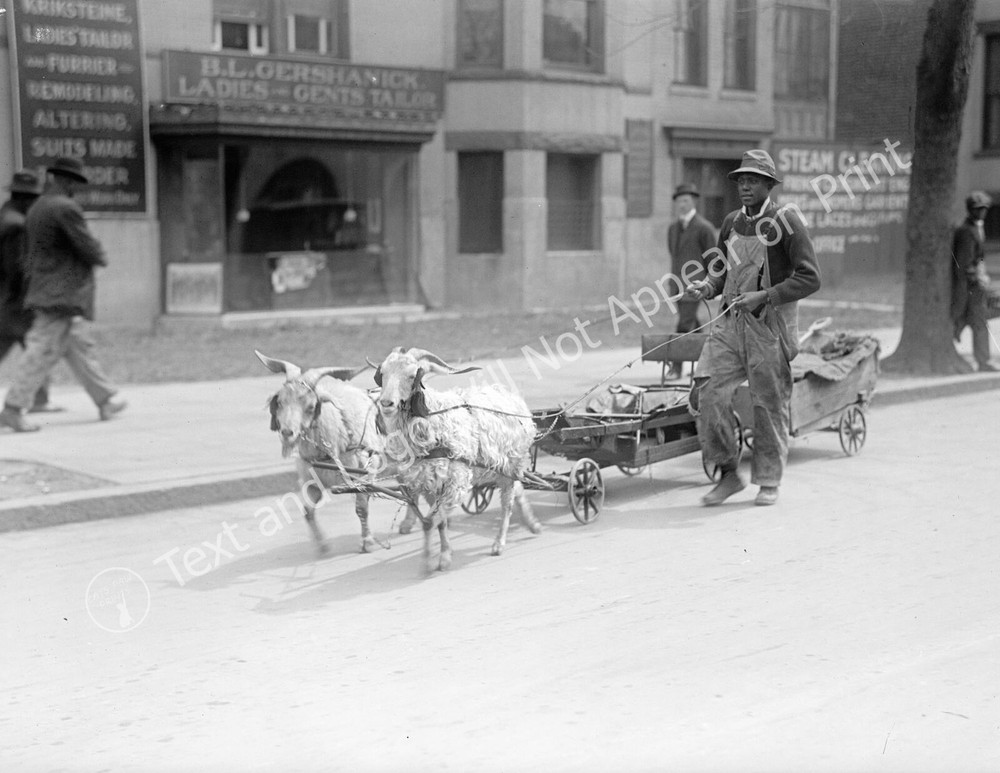 1917 Goat Team Pulling  Wagon Vintage Old Photo 8.5
