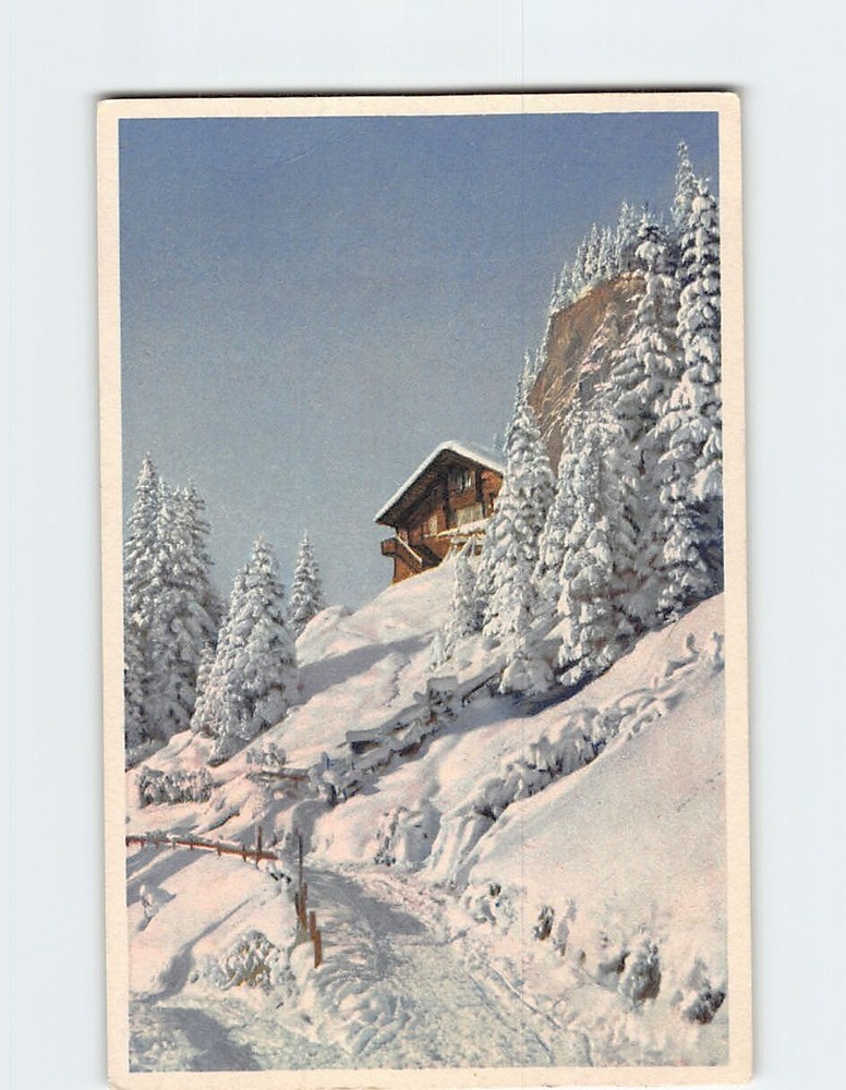 Postcard House Trees Snow Landscape Scenery