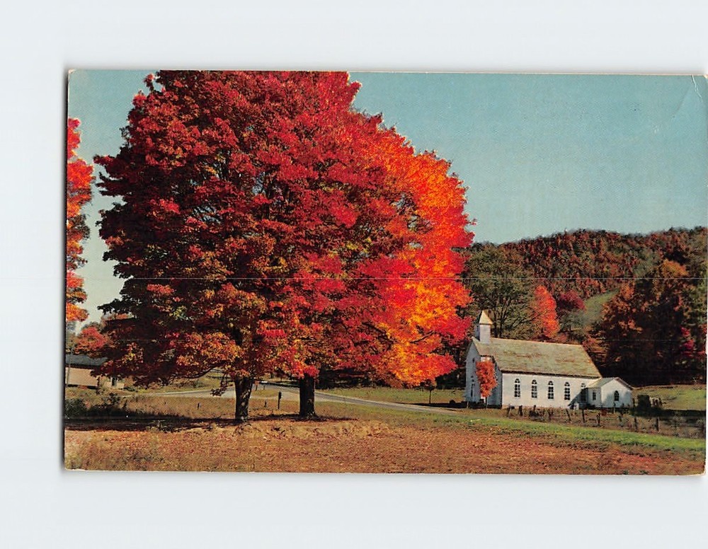 Postcard Countryside Autumn Nature Scene