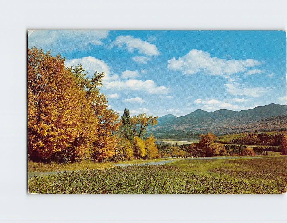 Postcard Nature Lovers Utopia Dexter Beauty Scene
