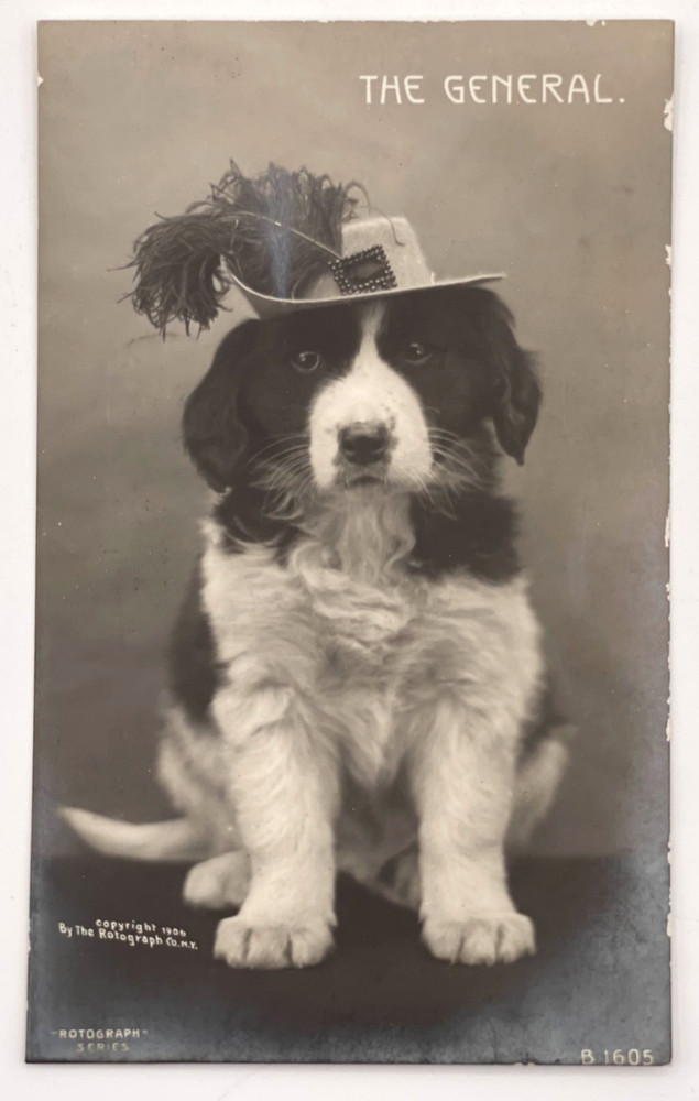 1907 Rotograph RPPC Dog in Hat “The General” Real Photo Postcard