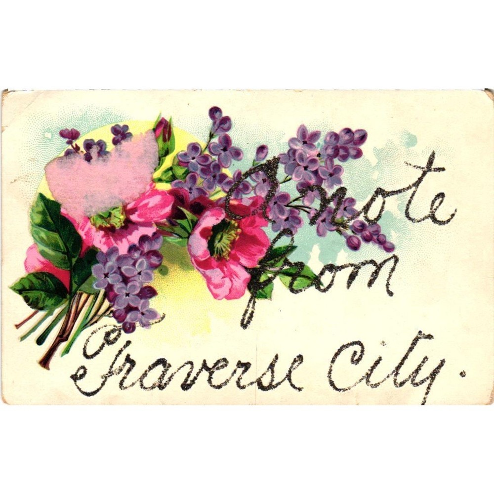 Vintage Traverse City Michigan Postcard Floral Glitter Pink Poppies Lilac PF2834