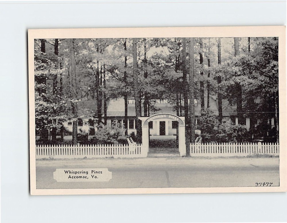 Postcard Whispering Pines Accomac Virginia USA