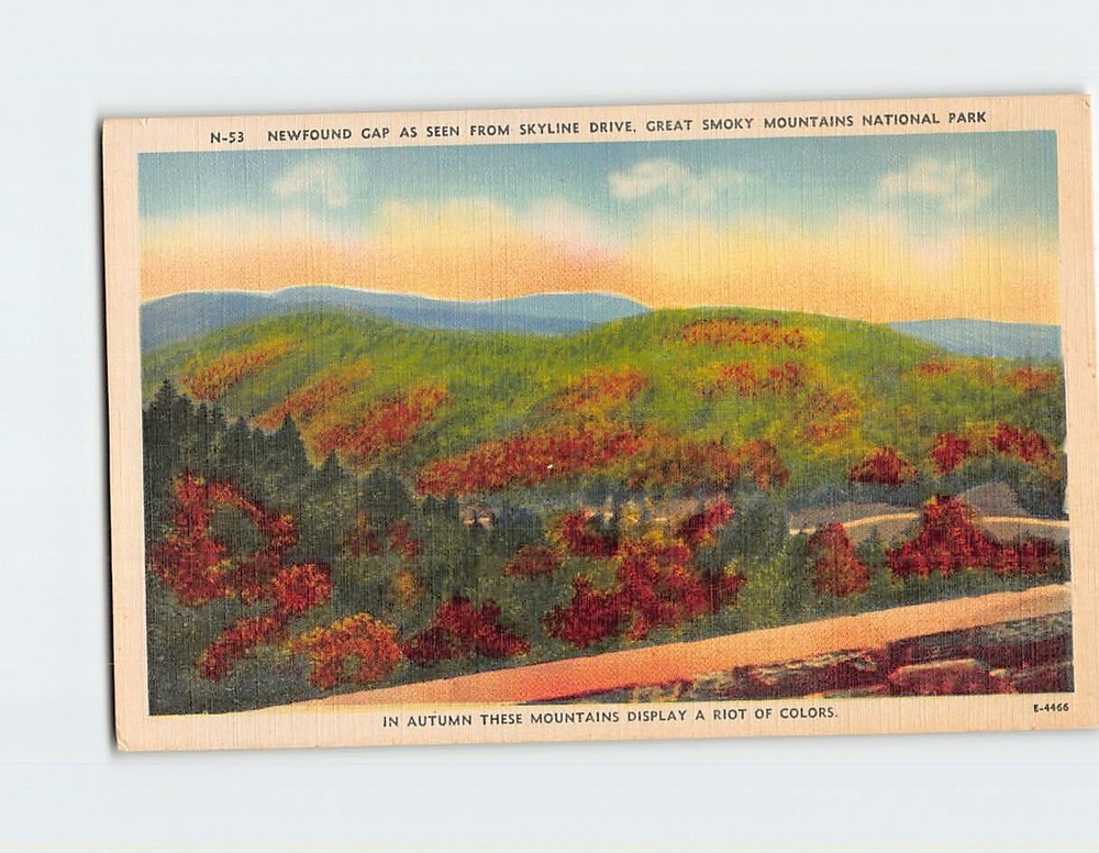 Postcard Autumn Scene New Found Gap Great Smoky Mountains National Park USA