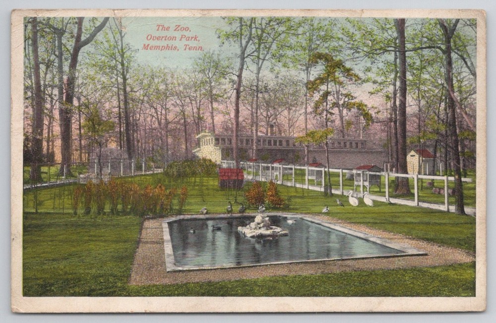 Vintage 1914 Memphis Zoo Overton Park Postcard - O.V. Tochome Arkansas
