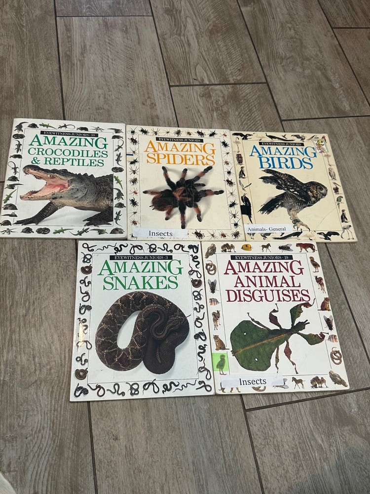 Eyewitness Juniors Amazing Books Set Reptiles, Birds, Spiders, Snakes, Animals