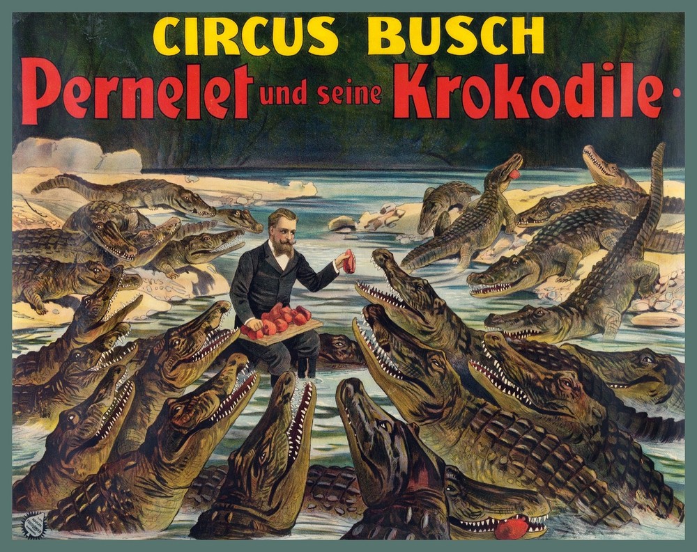Decoration Poster.Home room art.Interior design.Circus Busch.Alligators Zoo.7423