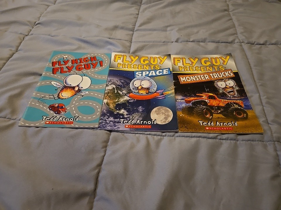 Fly Guy Book Lot Of 3 All Paperback Used Condition