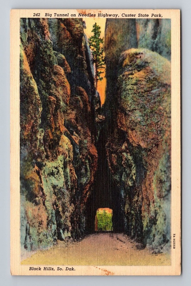 South Dakota Black Hills Big Tunnel Needles Highway Custer Park Vintage Postcard