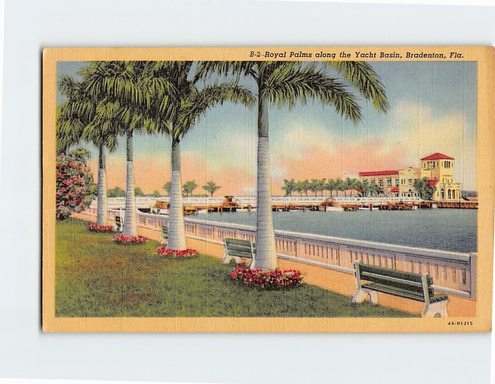 Postcard Royal Palms Along the Yacht Basin Bradenton Florida USA