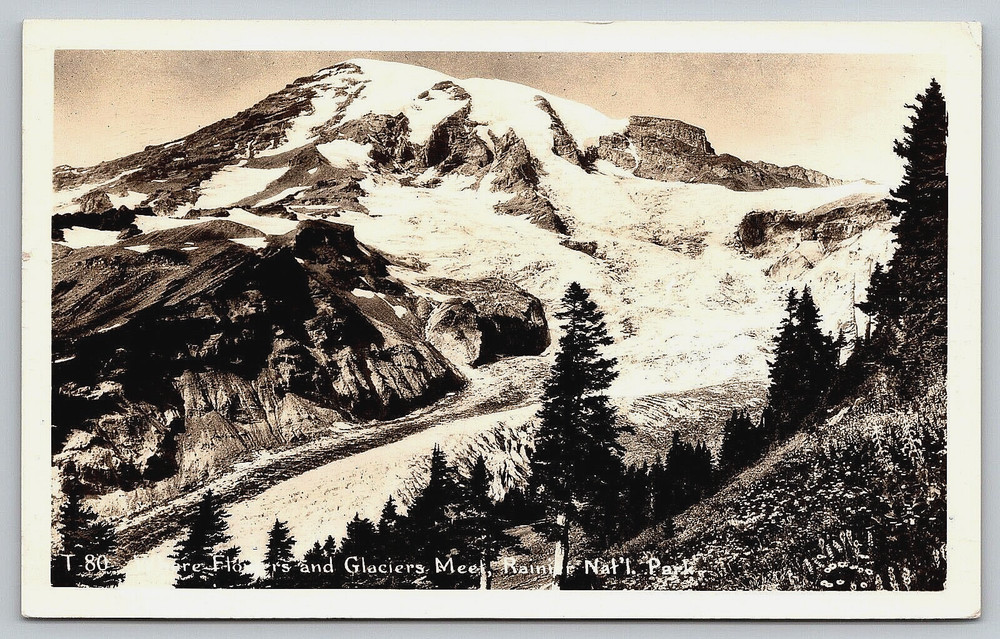 Vintage Picture Photo Postcard Photograph Rainier National Park Mountain Snow