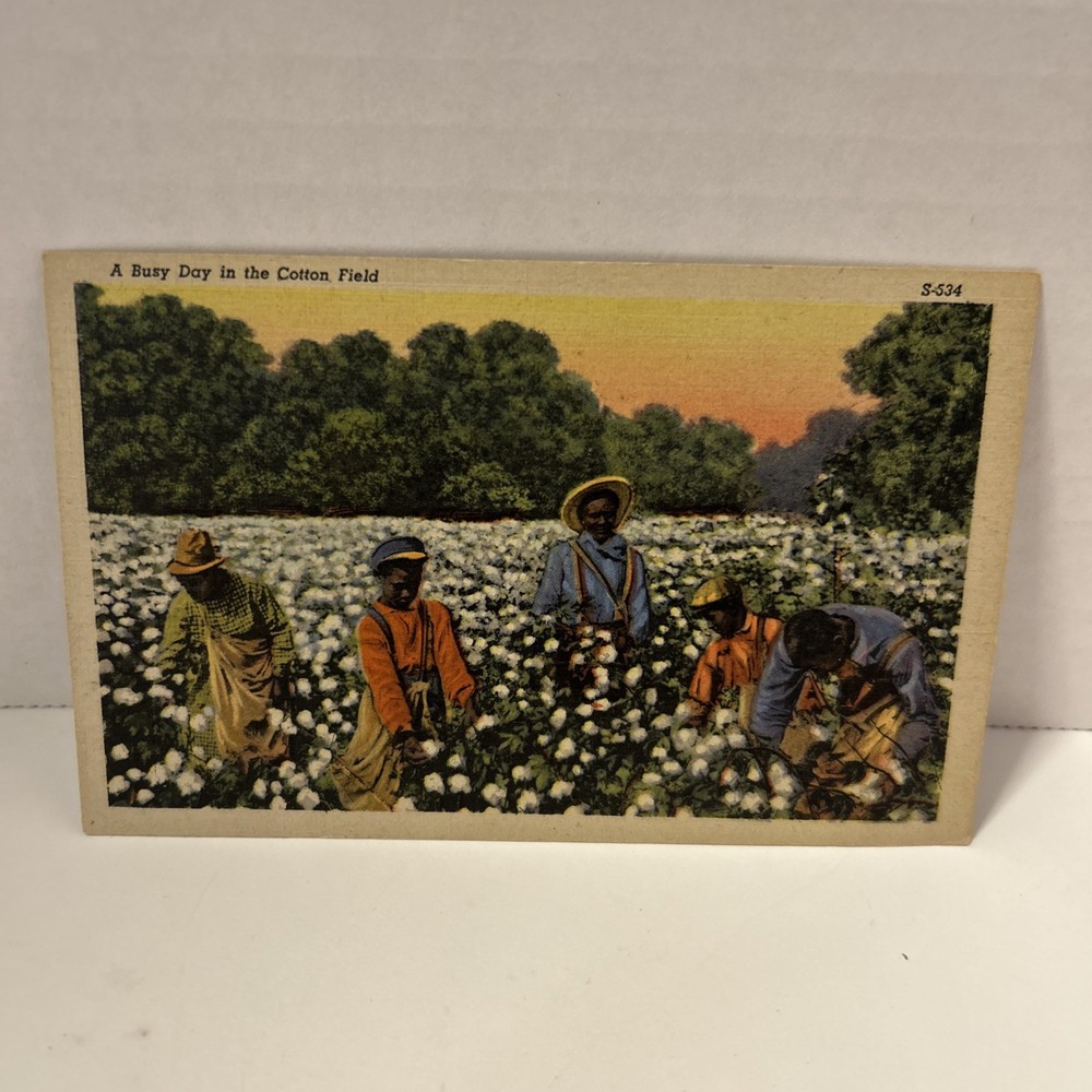 Vintage Postcard A Busy Day In The Cotton Field Cullman Alabama 1948