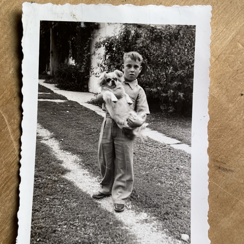 Vintage photograph Snapshot Little Boy Holding Tibetan Spaniel Dog 1940s - A1