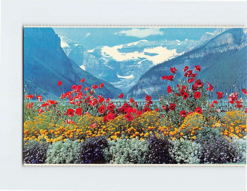 Postcard Lake Louise and Victoria Glacier Alberta Canada