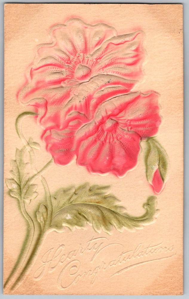 Antique Postcard Embossed Poppy Congratulations Iowa, US 1910s