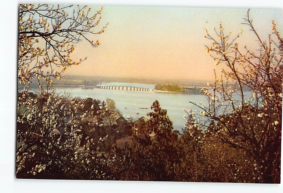 Postcard A View of the South Lake the Summer Palace Beijing China